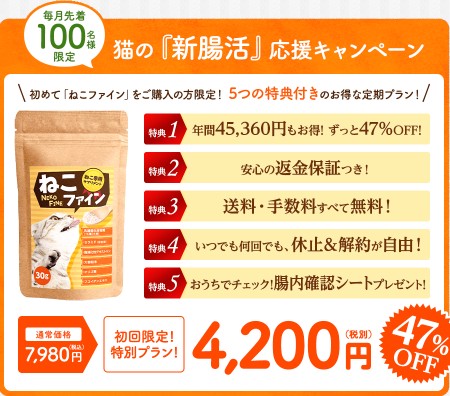 ���C���������y�˂��t�@�C���z���T�C�g��