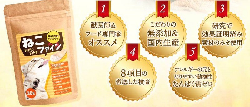 ���C���������y�˂��t�@�C���z���T�C�g